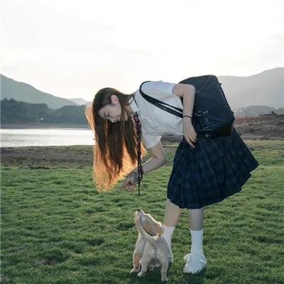荒野狂兽